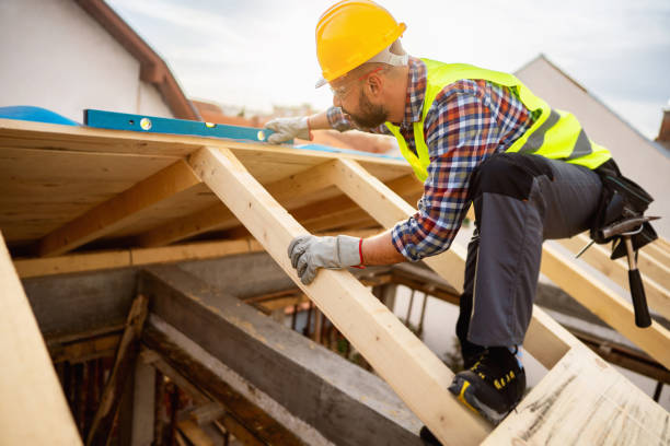 Professional Roofing Contractor in Circle Pines, MN