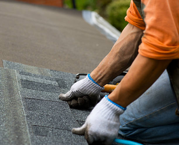 Best Flat Roof Repair Services  in Circle Pines, MN